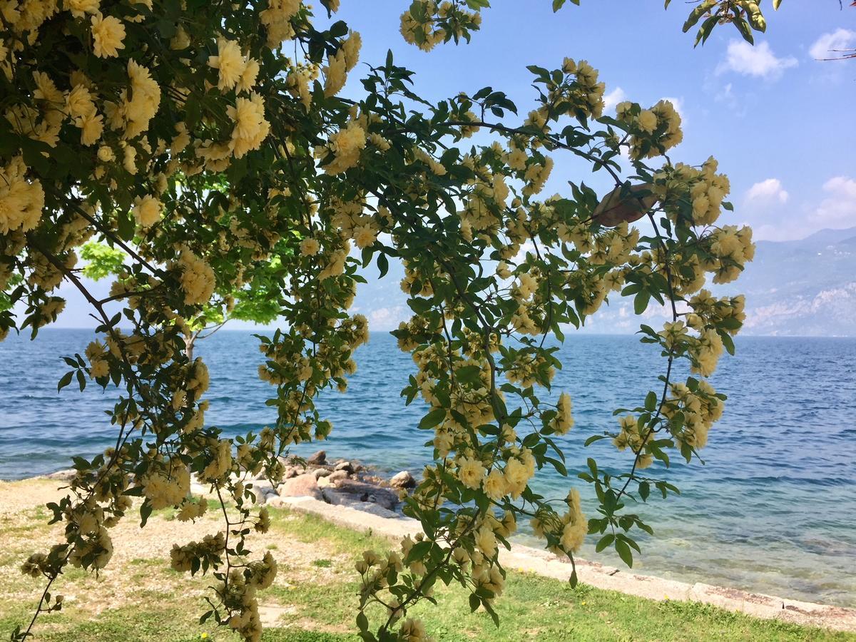 Piccolo Hotel Direkt Am See Brenzone sul Garda Exterior foto
